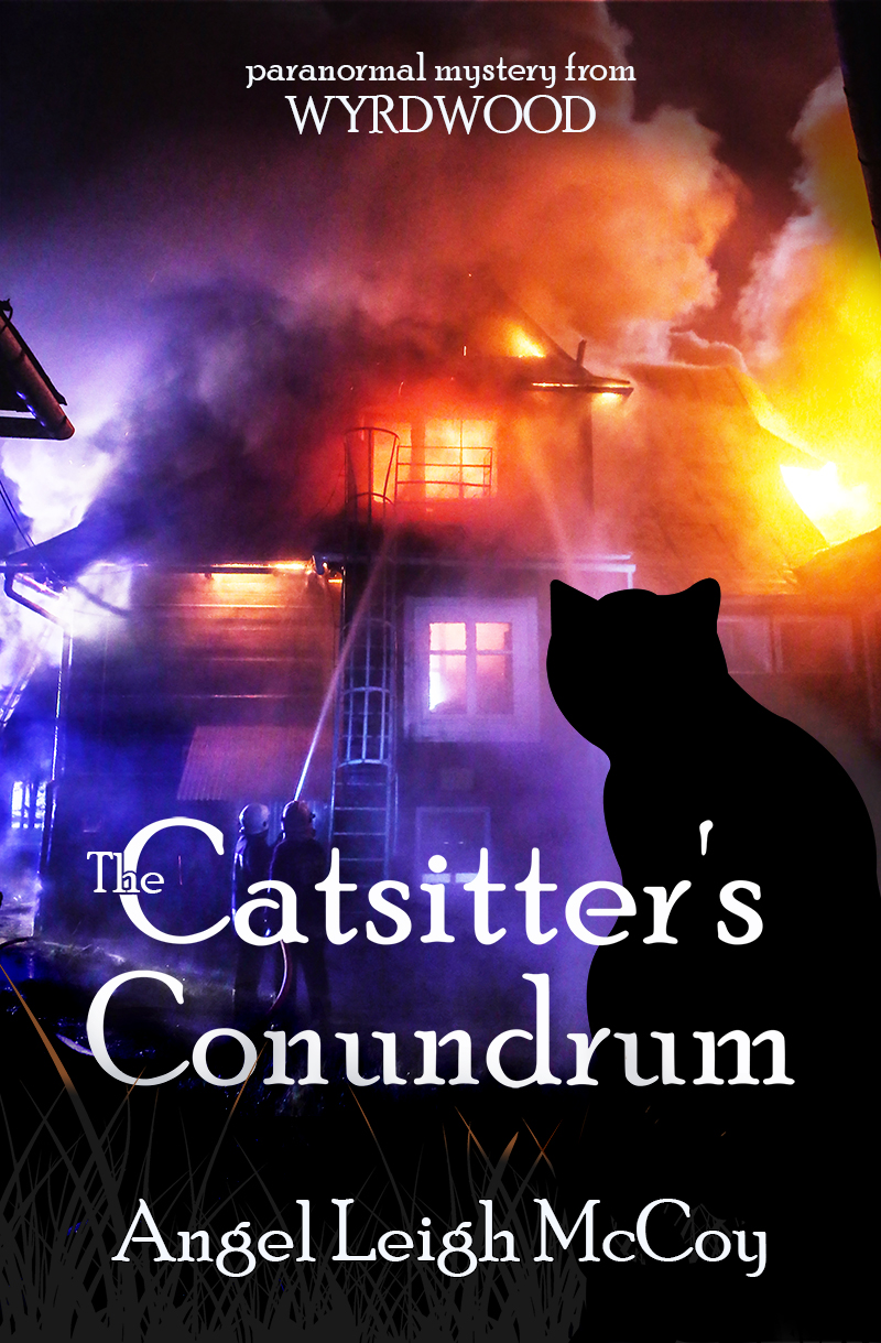 book cover shows the silhouette of Muse the king of cats in exile against a backdrop of a house on fire.